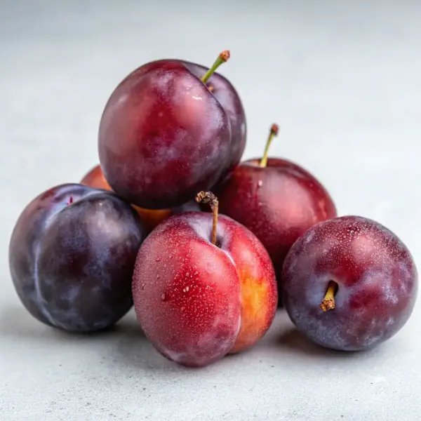 Dried Prunes